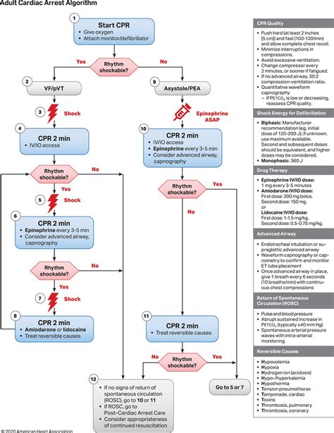 Acls Manual Heart And Stroke Canada