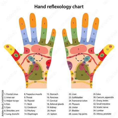 Acupressure Hand Chart