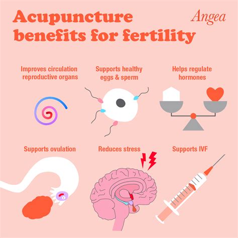 Acupuncture Points For Fertility Chart