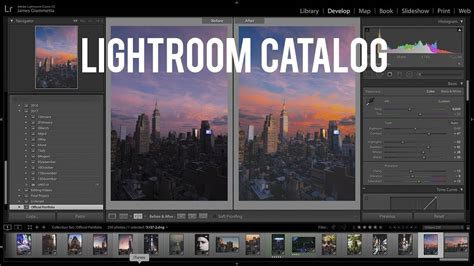 Add Images To Catalog Lightroom