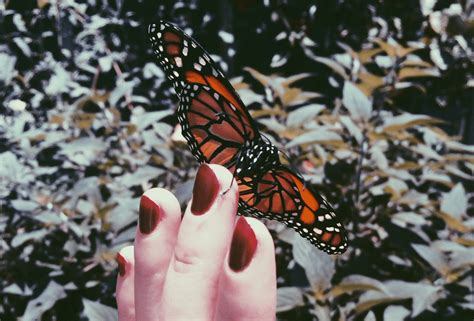 Afraid To Love Again Thought Catalog