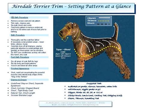 Airedale Terrier Grooming Chart