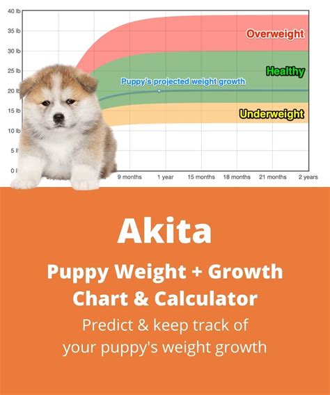 Akita Chart