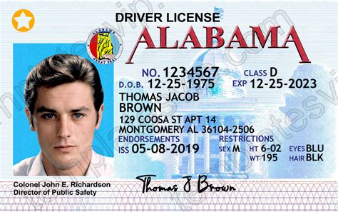 Alabama Drivers License Template