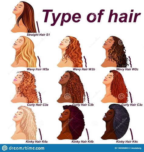All Hair Types Chart