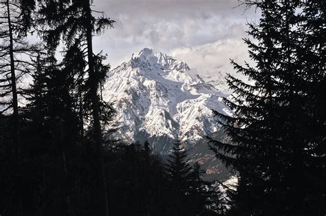 Alpine Productions