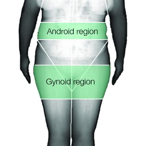Android/gynoid Ratio Chart