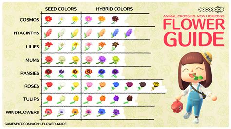 Animal Crossing Flowers Chart