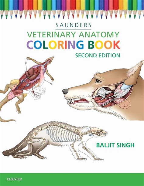 Download Book Animals Anatomy Coloring Book Files Natalia Perlei Edu Mx
