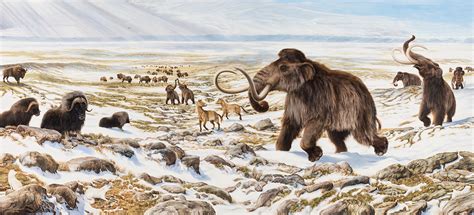 Animals in the Ice Age