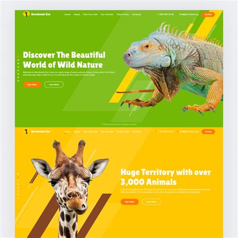 Animation Website Templates