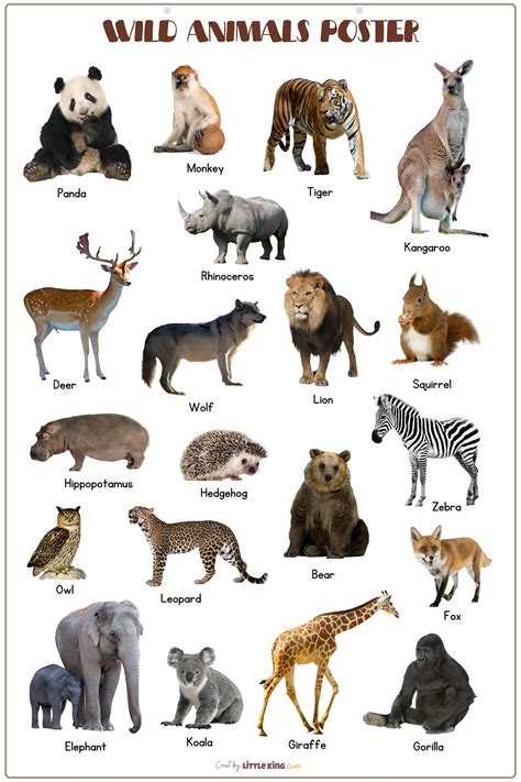 Animaux