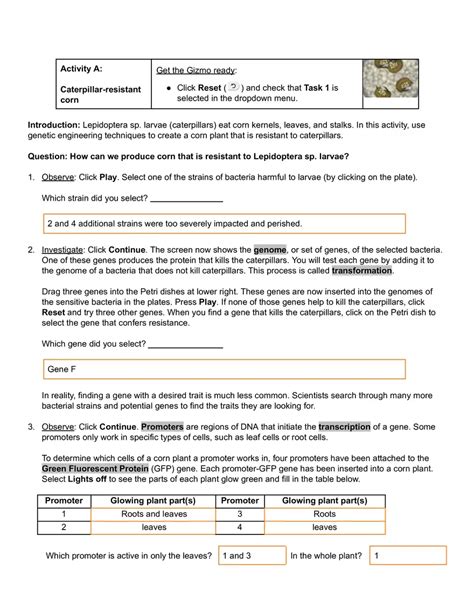 Answer Key To Genetic Engineering 115d0d11f30c42144b88494b58baabe0 Do Centrodegas Com