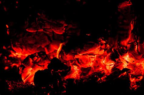 Api dan Es yang Membara: Keajaiban Lada Fire and Ice