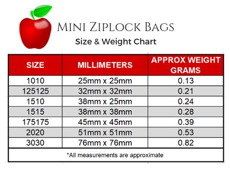 Apple Bags Size Chart