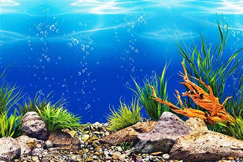 Aquarium Printable Backgrounds