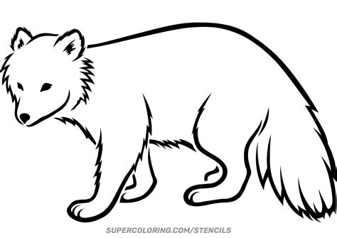 Arctic Fox Template