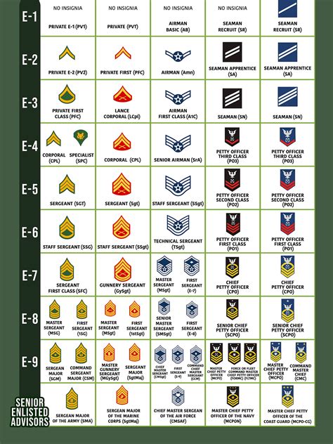 Army Rank Structure Chart