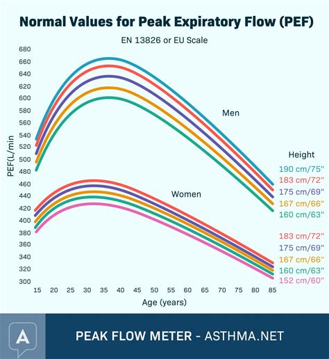 Asthma Pefr Chart