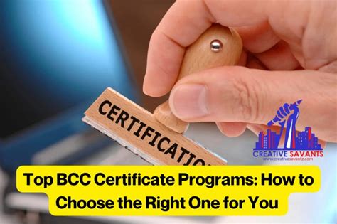 Attleboro Bcc Catalog For Certificate Programs