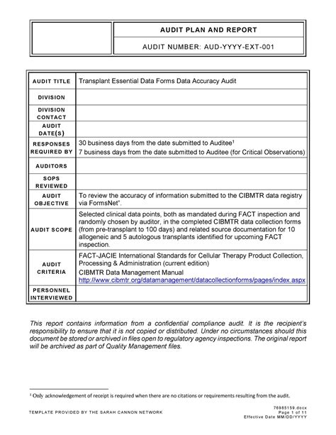 Audit Report Template