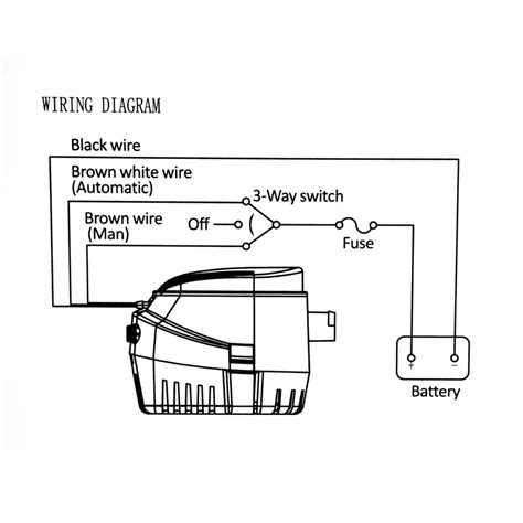 Auto Bilge Wiring Diagram