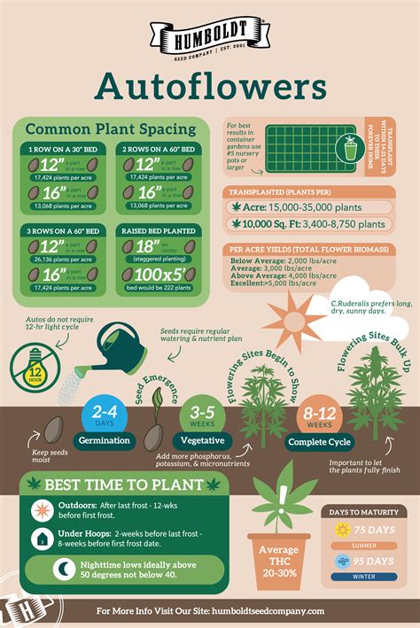 Autoflower Leaf Diagnosis Chart