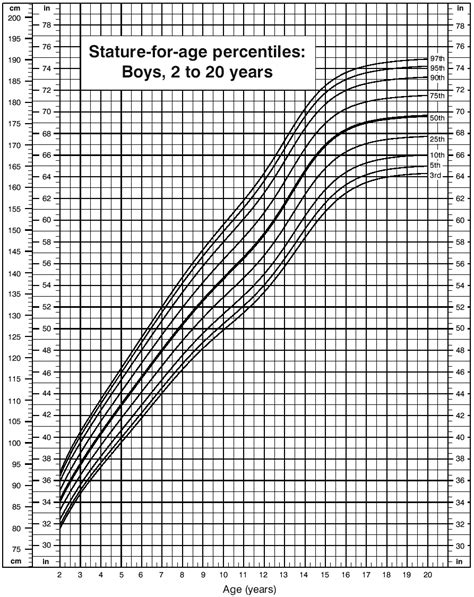 Average Male Growth Chart