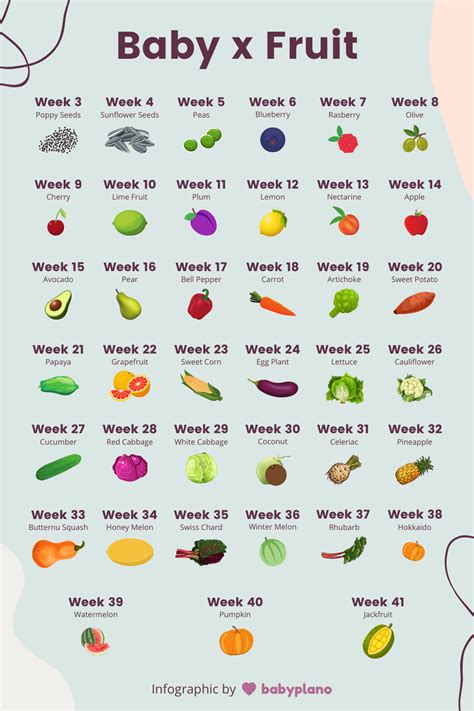 Baby Fruit Size Chart