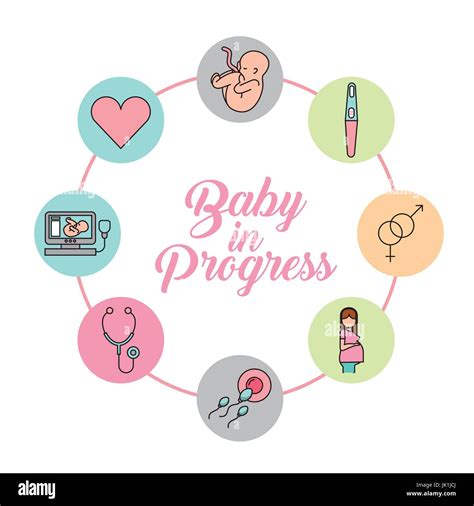 Baby in Progress book cover