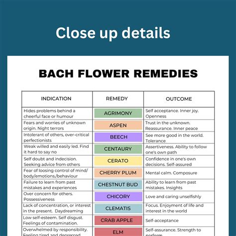 Bach Flower Essences Chart