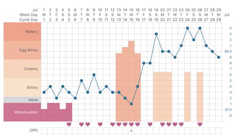 Basal Temperature Pregnancy Chart Example