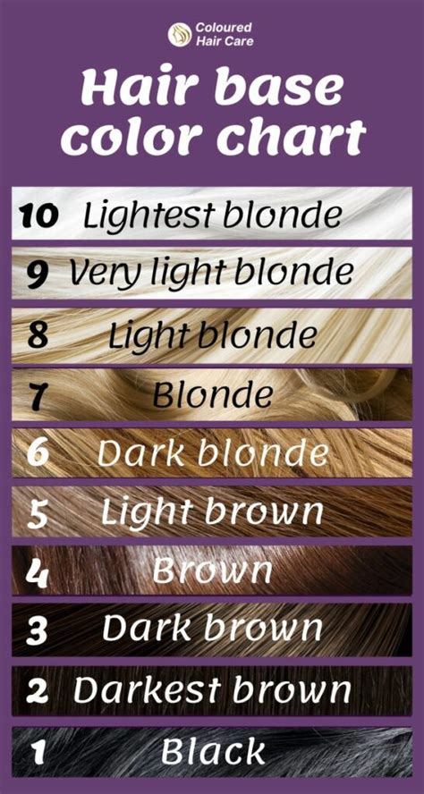 Base Color Hair Chart