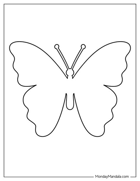 Basic Butterfly Template