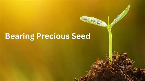 Bearing Precious Seed: A Bountiful Harvest of Innovation and Growth