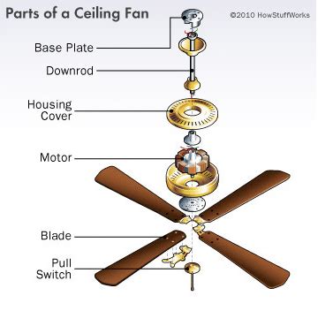 Bearings for Ceiling Fans: The Ultimate Guide