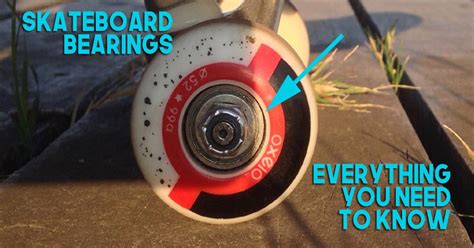Bearings on a Longboard: The Ultimate Guide