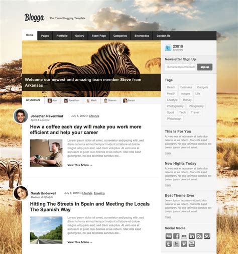 Best Blog Templates For Wordpress