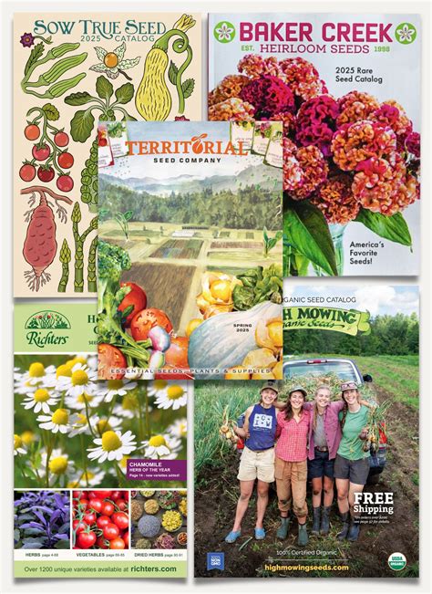 Best Flower Seed Catalogs