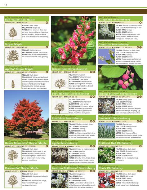Best Free Tree Catalogs By Mail