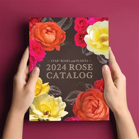 Best Rose Catalogs