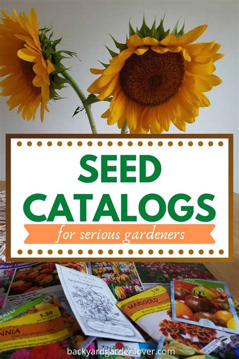Best Seed Catalogs For The South