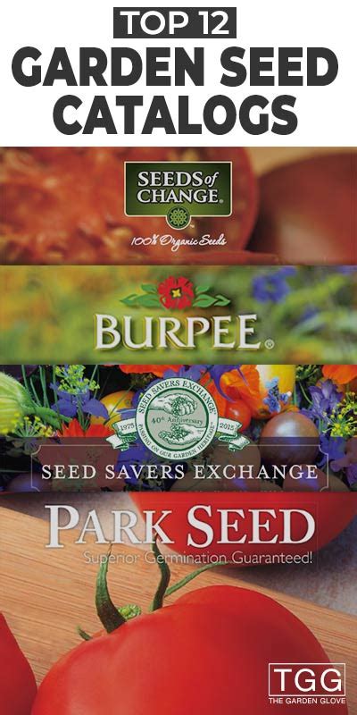 Best Vegetable Seed Catalogs