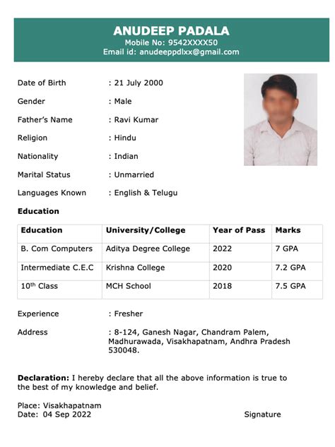 Biodata Template Word