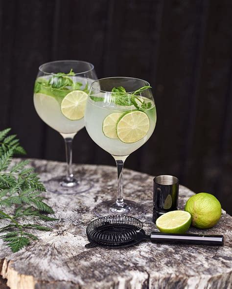 Blanda gin och tonic – en uppfriskande och god drink som passar till många tillfällen
