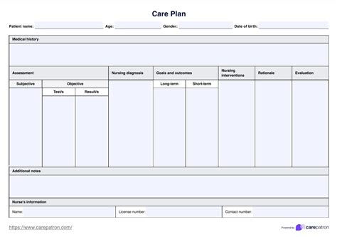 Blank Care Plan Template