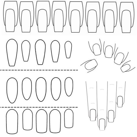 Blank Fingernail Template