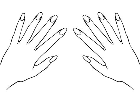 Blank Nails Template