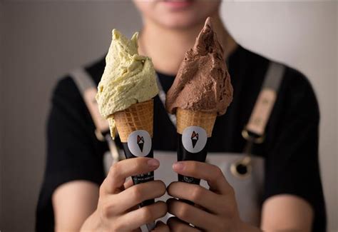 Blendtec 冰淇淋：美味健康新選擇