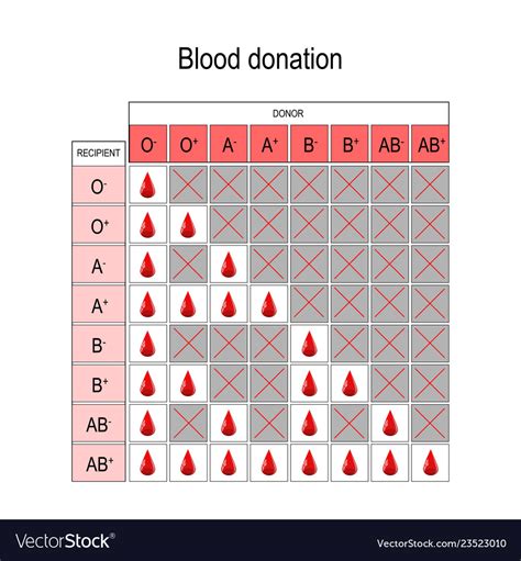 Blood Donor Receiver Chart